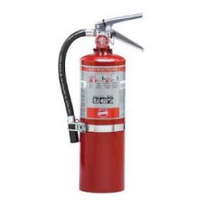 Buckeye 5 lb ABC Portable Fire Extinguisher