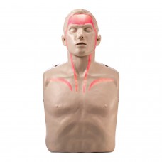 Brayden LED CPR Mannequin with Blood Flow Circulation (Red Lights)