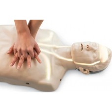 First Aid Trainers (24)
