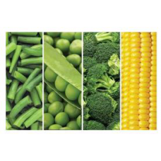 Freeze Dried Vegetables (5)