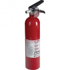 Kidde Pro 110 Consumer 2.5 lb ABC Fire Extinguisher w/ Wall Hook (Disposable)